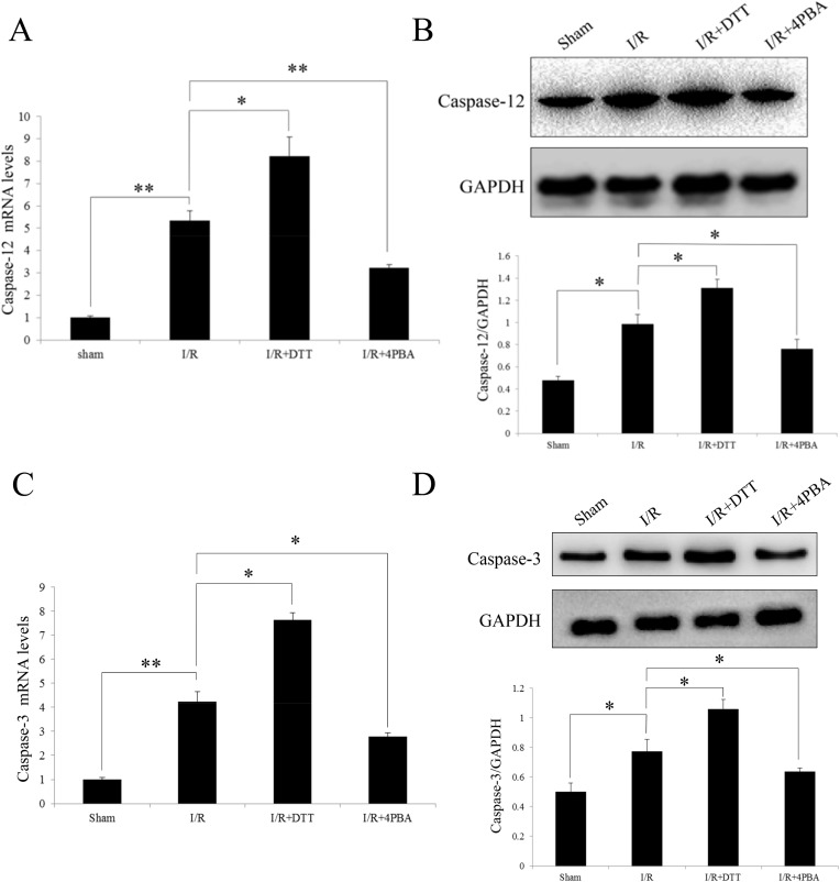 Fig 10