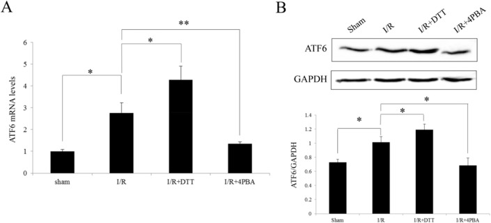 Fig 9