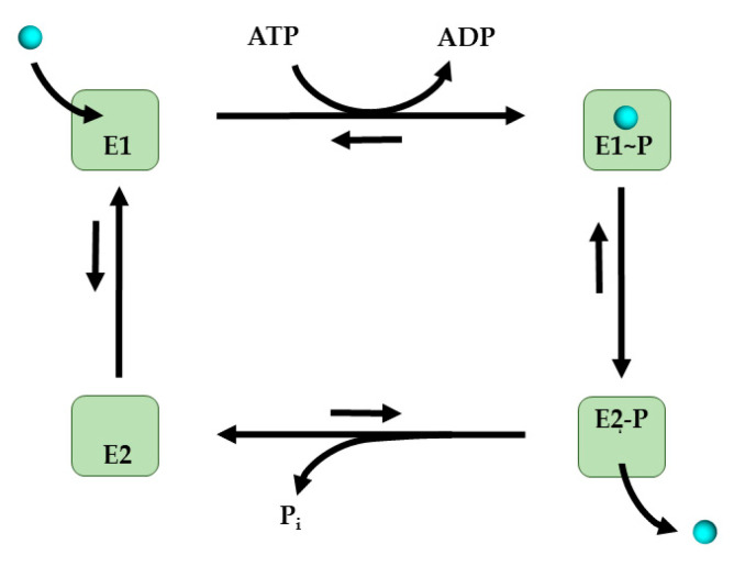 Figure 8