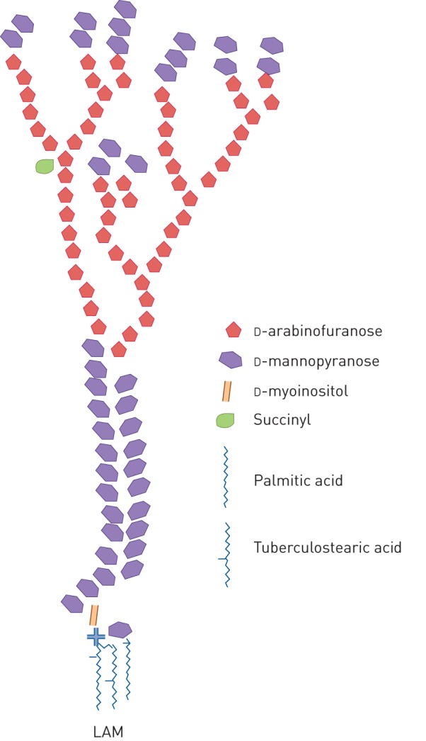 FIGURE 1