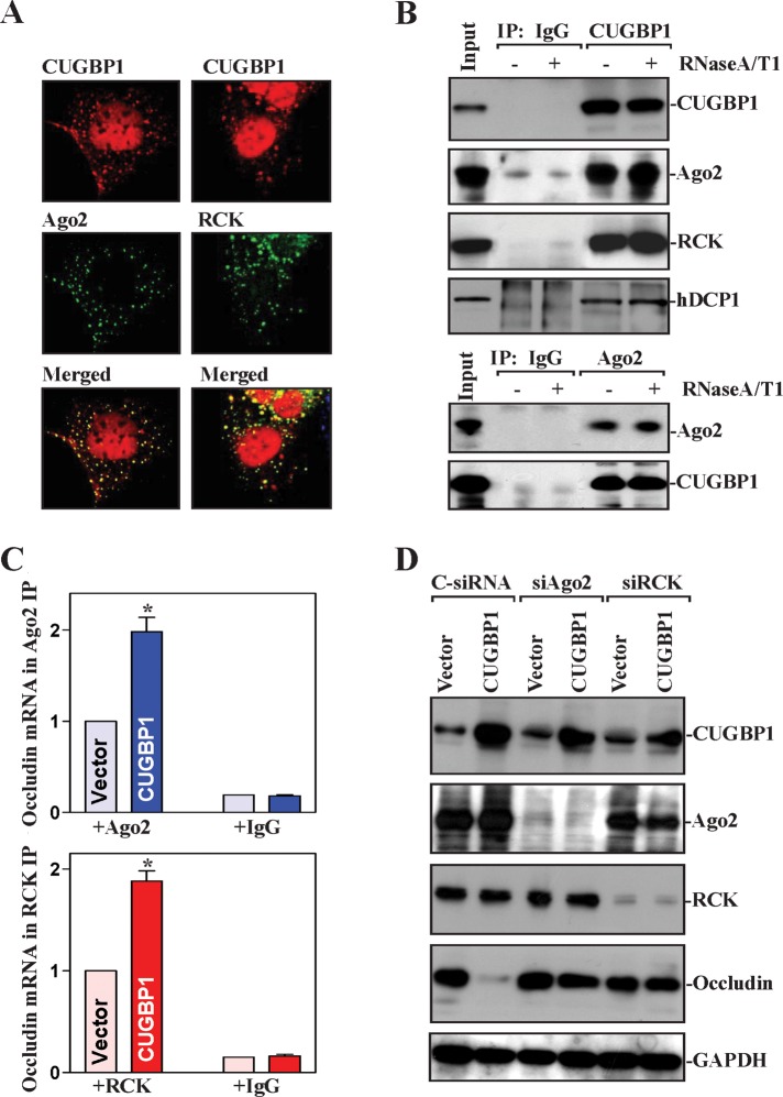 FIGURE 6: