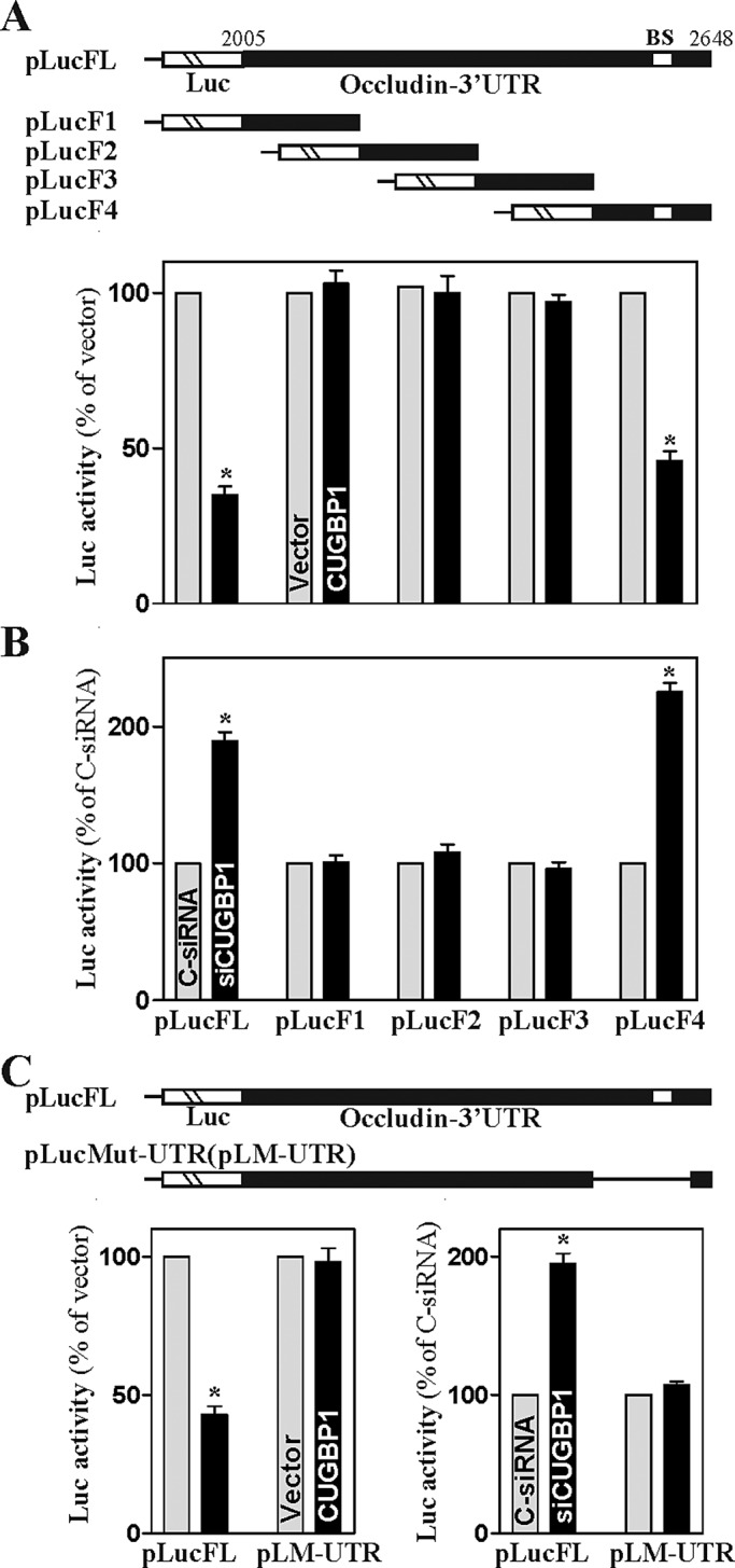 FIGURE 4: