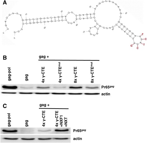 Figure 9