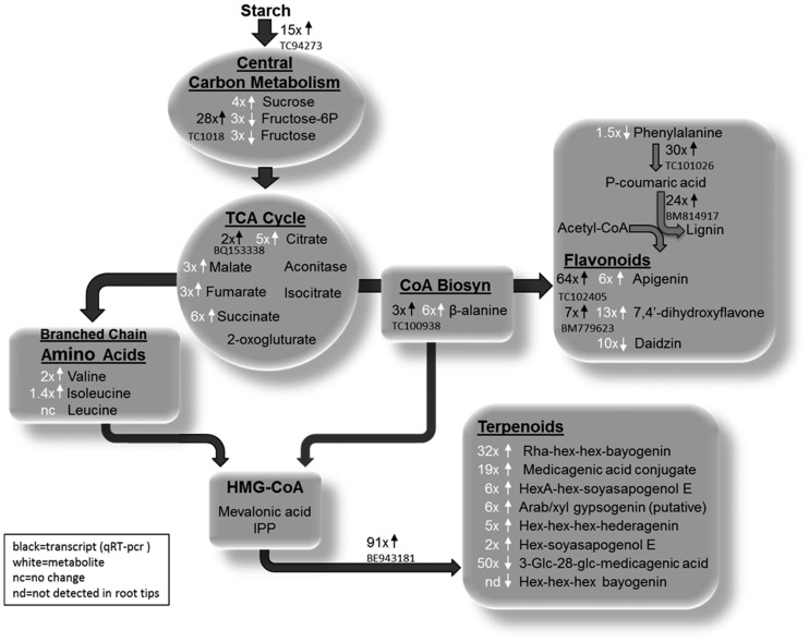 Figure 6.