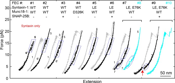 Figure 2—figure supplement 5.