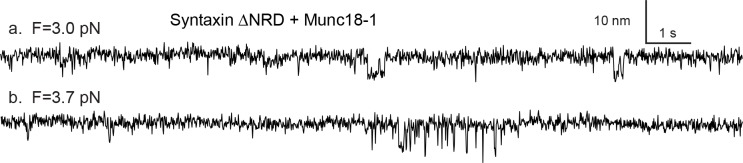 Figure 3—figure supplement 3.