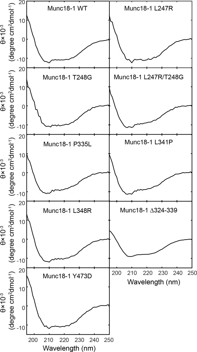 Figure 3—figure supplement 2.