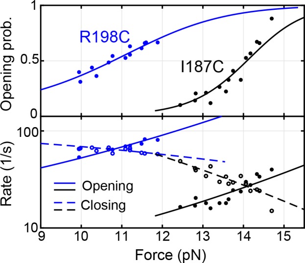 Figure 2—figure supplement 4.