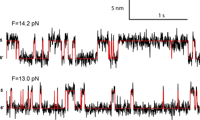 Figure 2—figure supplement 6.