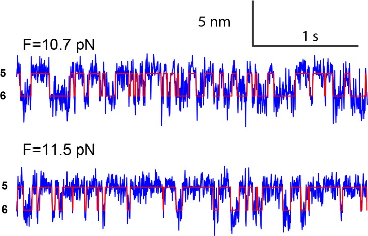 Figure 2—figure supplement 3.