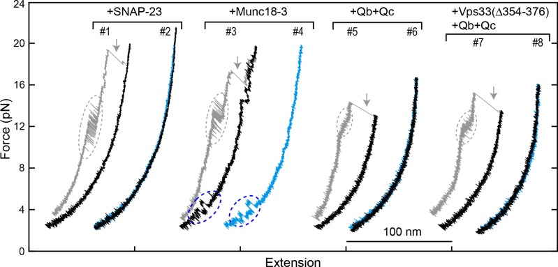 Figure 10—figure supplement 1.