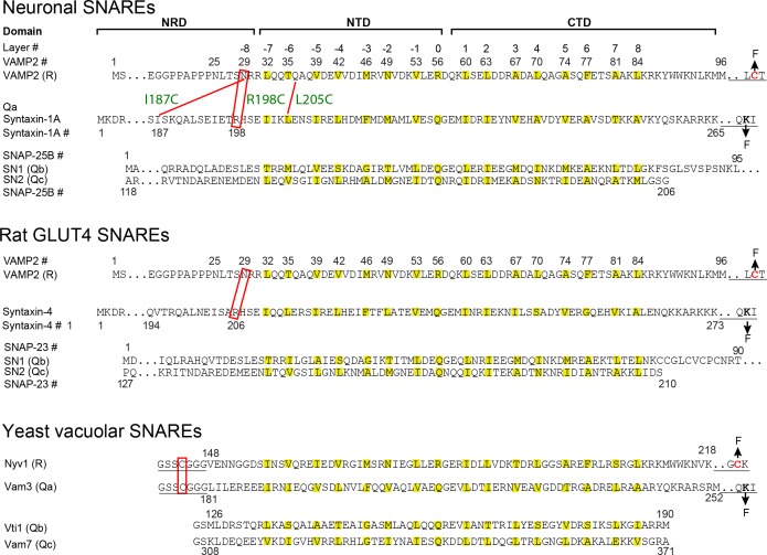 Figure 2—figure supplement 1.