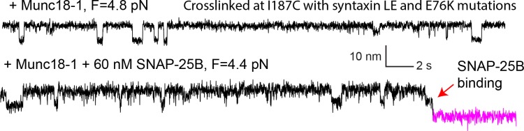 Figure 2—figure supplement 7.