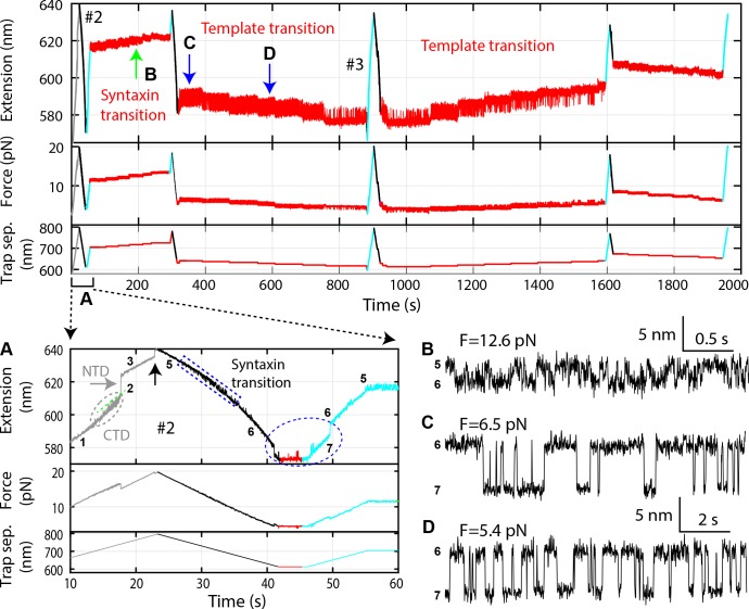 Figure 2—figure supplement 2.