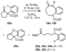 Scheme 5