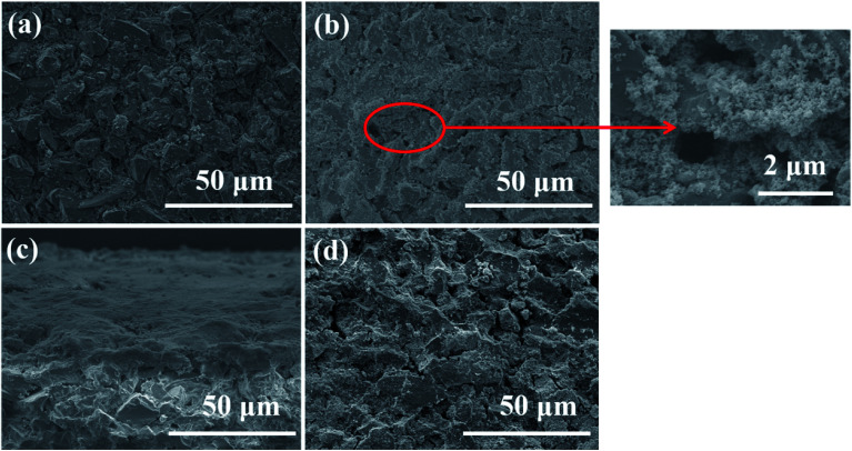 Fig. 10