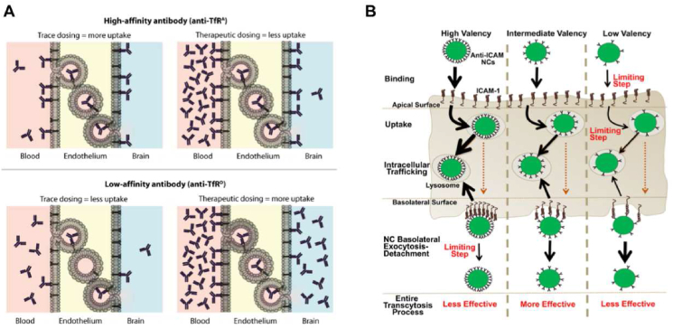 Figure 6