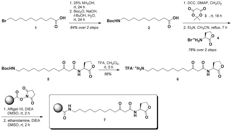 Scheme 1