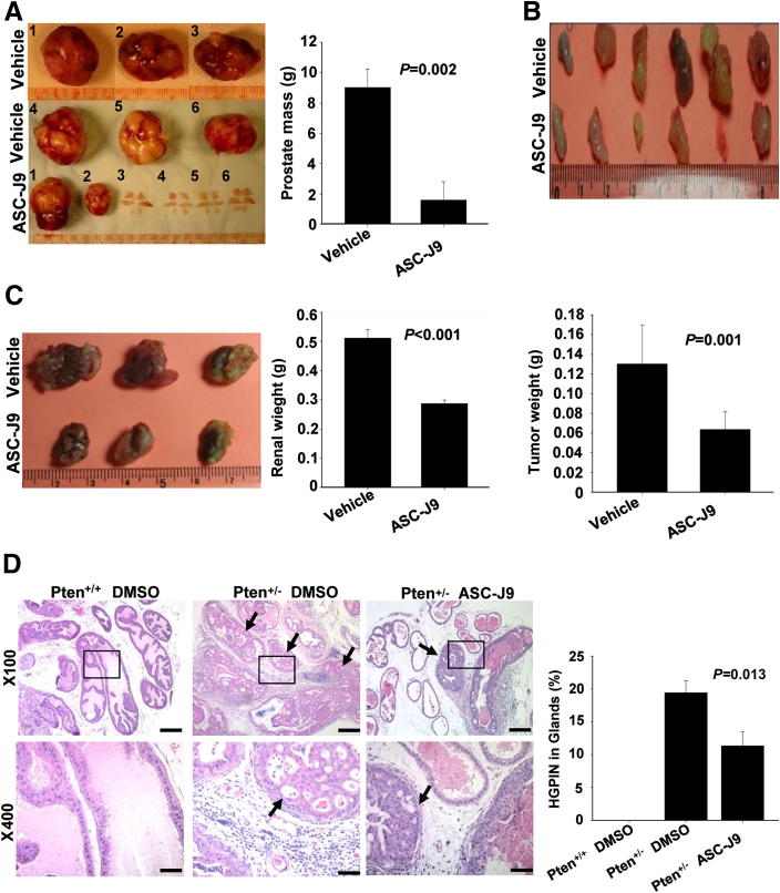 Figure 6