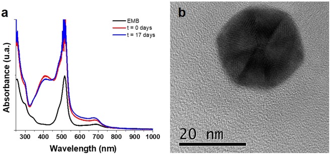 Figure 5