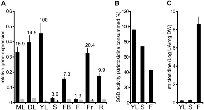 Figure 9