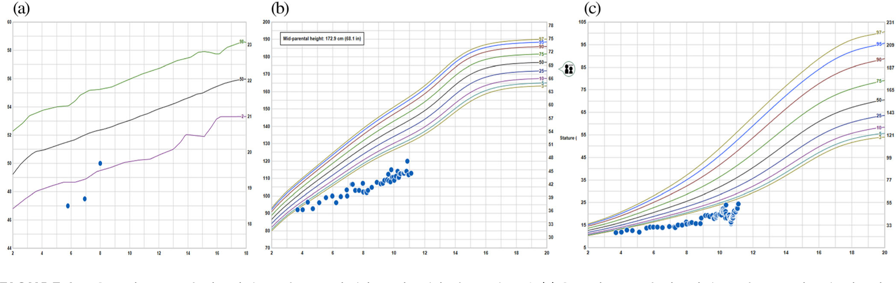 FIGURE 1