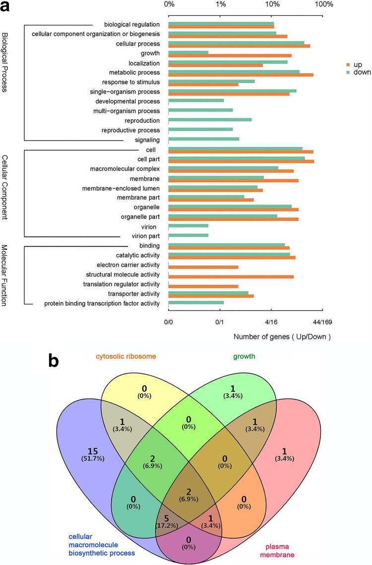 FIG 6