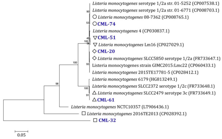 Figure 3