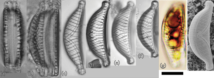 Figure 7.