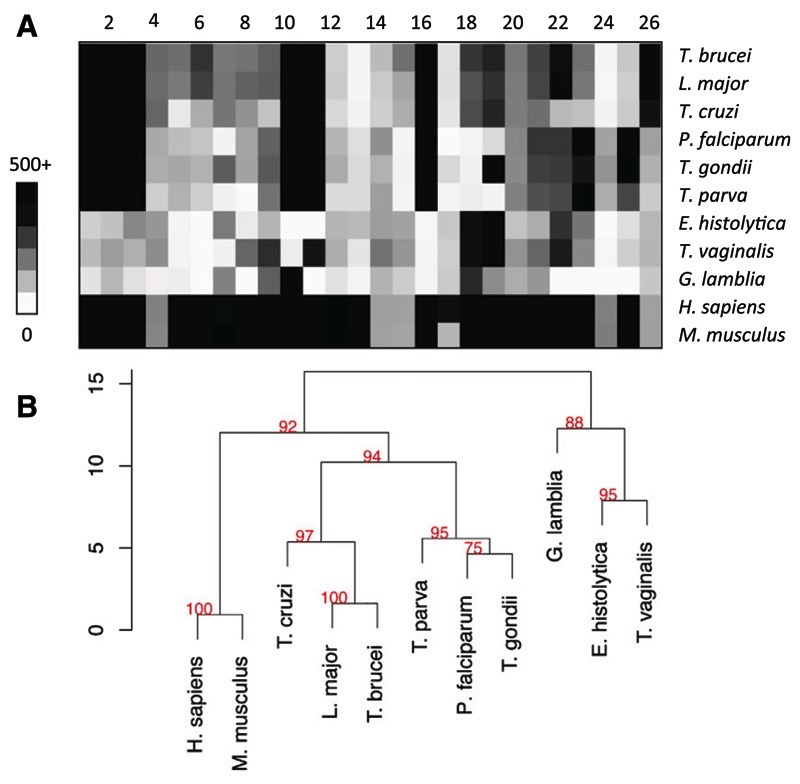 Fig. 10.