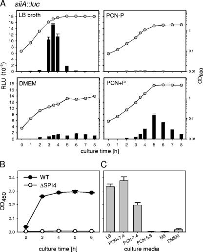 FIG. 2.