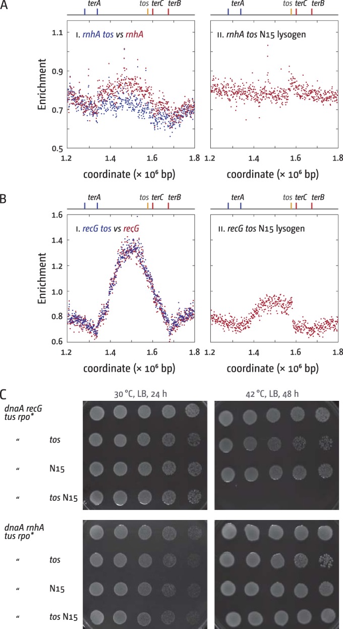 FIG 3 