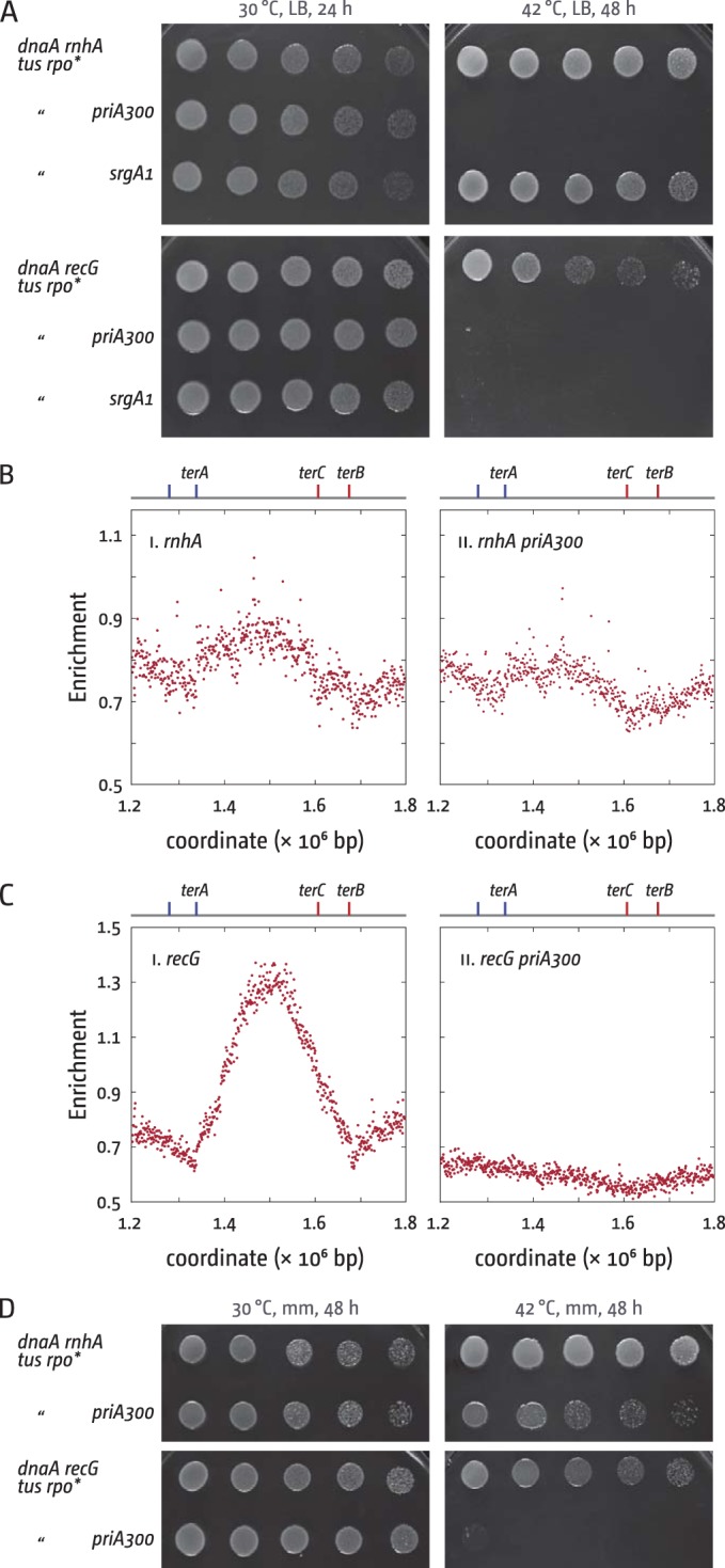 FIG 2 