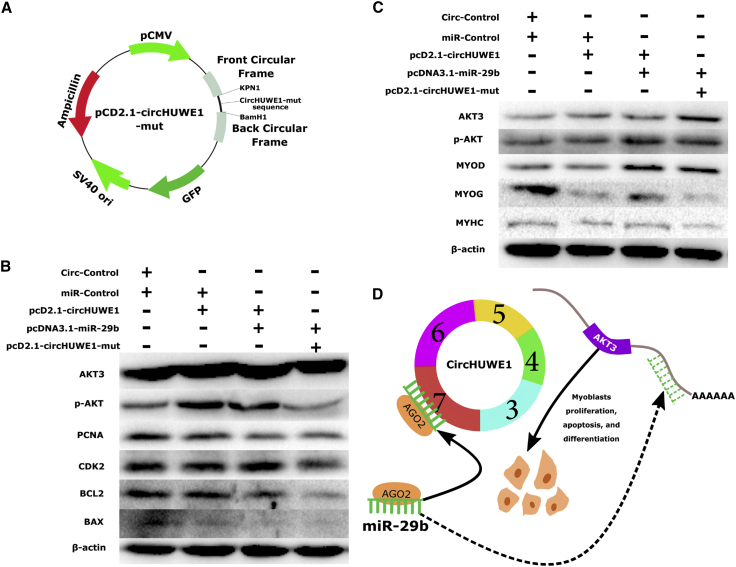 Figure 6