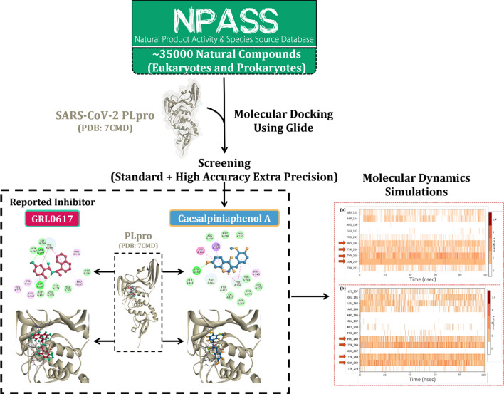 graphic file with name 11030_2021_10233_Figa_HTML.jpg