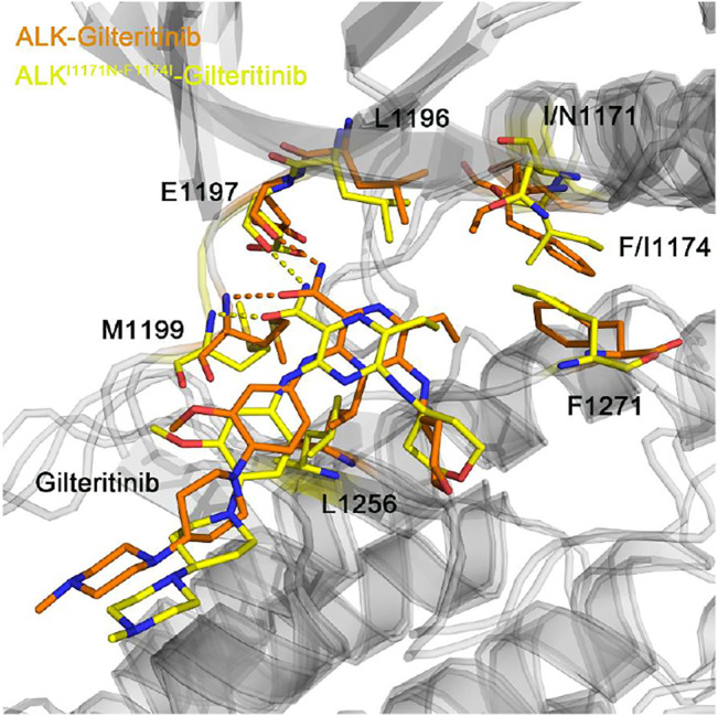 FIGURE 10