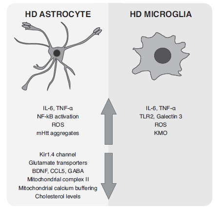 Fig. (1)