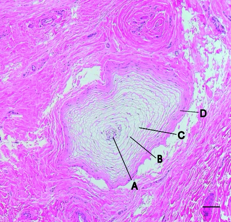 Fig. 3