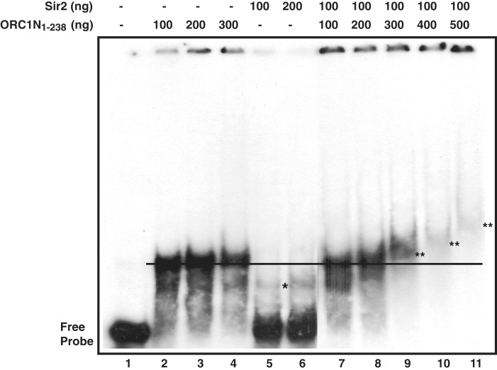 Figure 9.