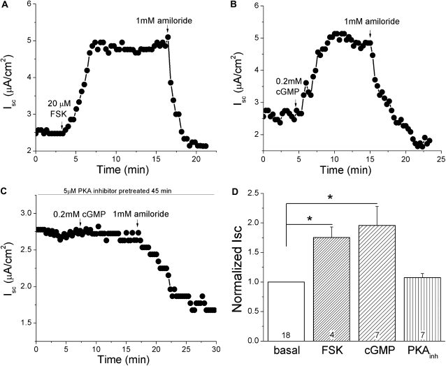 Figure 11.