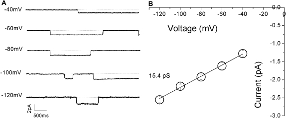 Figure 10.