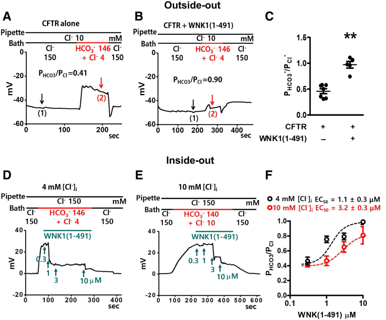 Figure 12