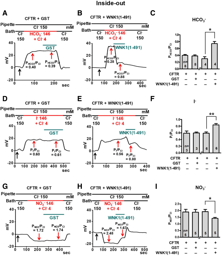 Figure 13