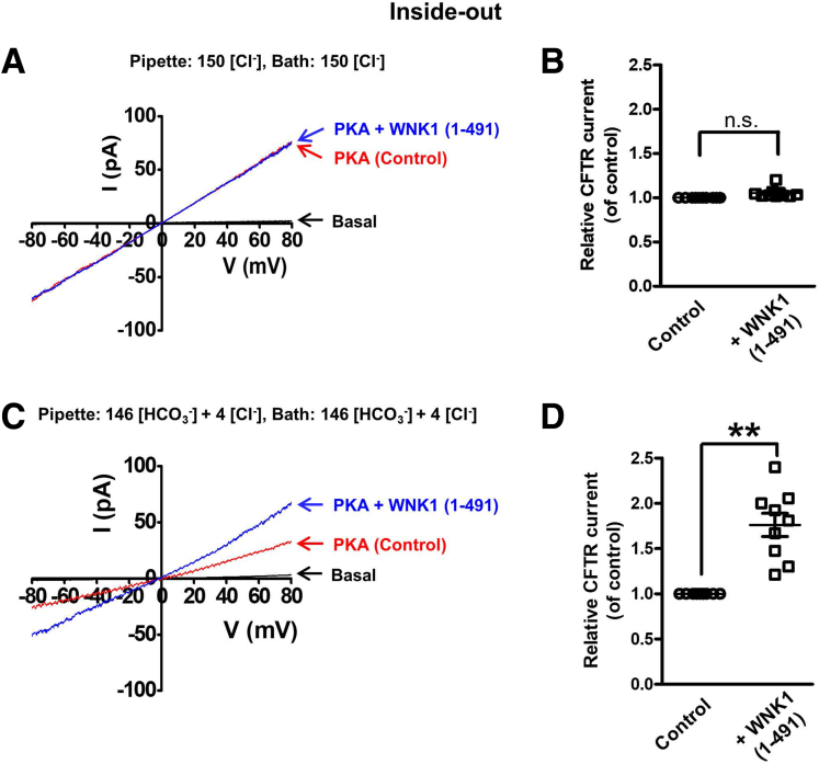 Figure 14