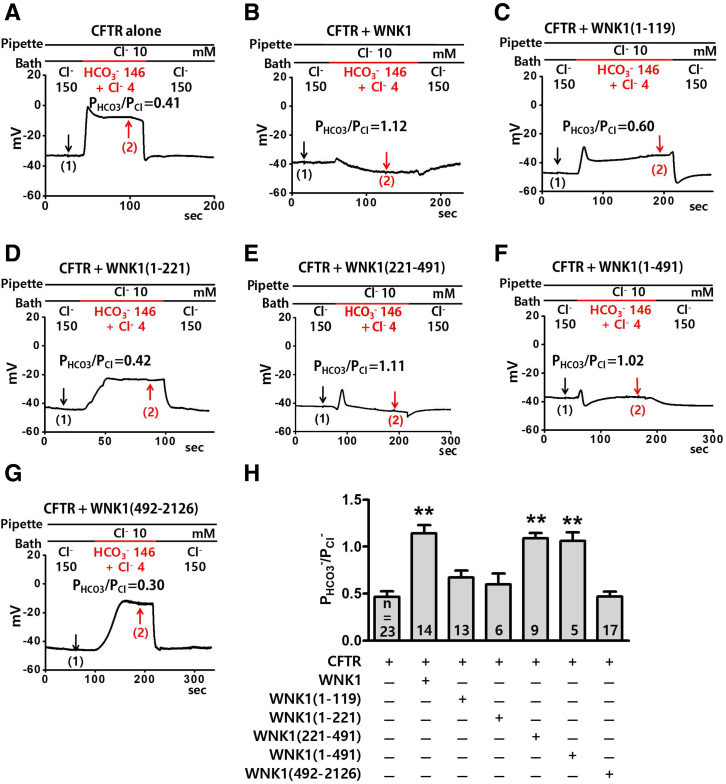 Figure 6