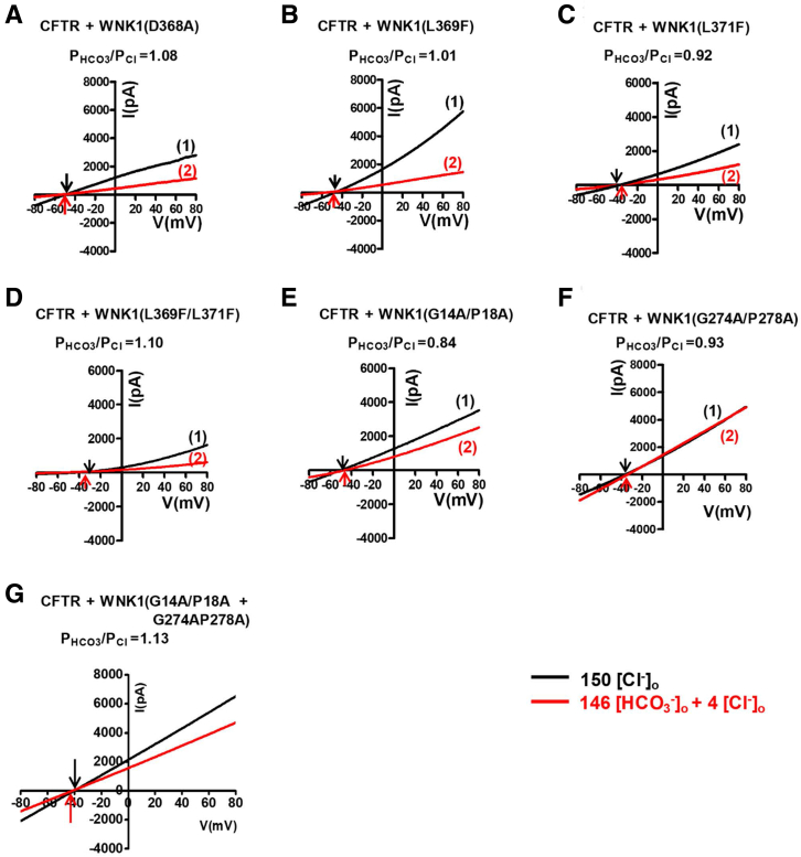 Figure 10