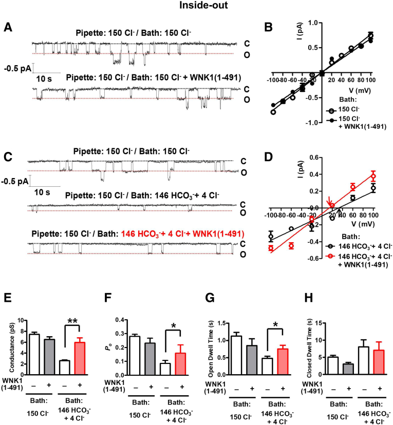 Figure 15