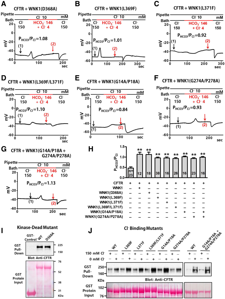 Figure 9