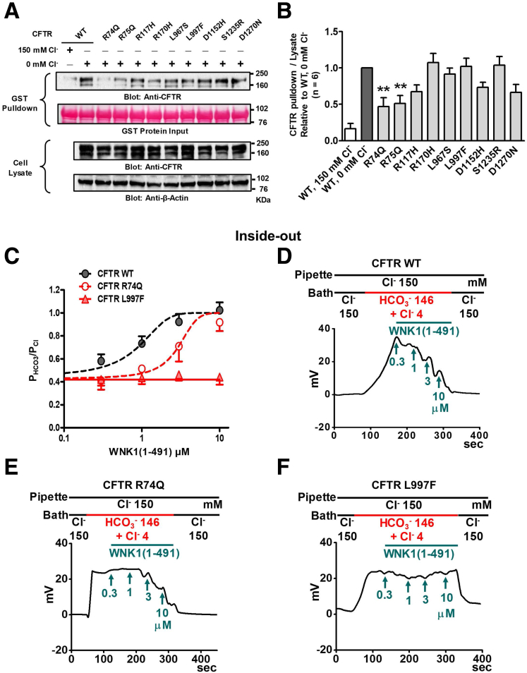 Figure 16