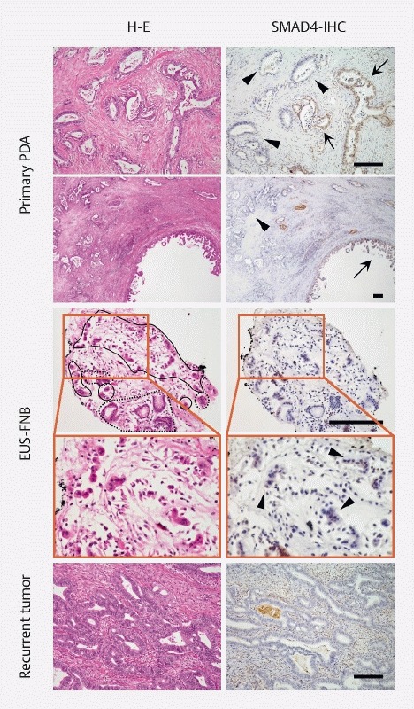 Fig. 3